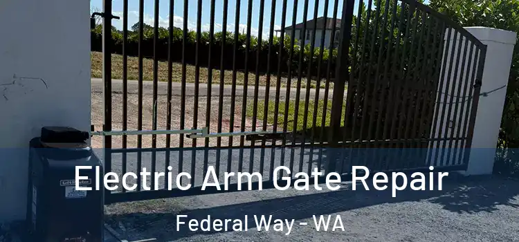 Electric Arm Gate Repair Federal Way - WA