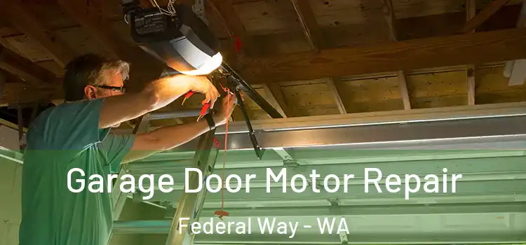 Garage Door Motor Repair Federal Way - WA