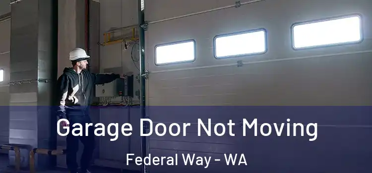  Garage Door Not Moving Federal Way - WA