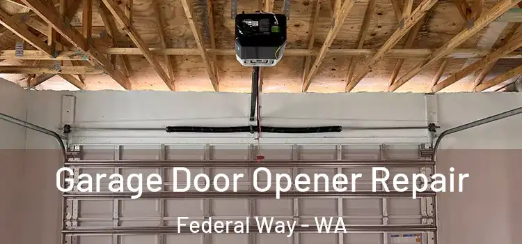  Garage Door Opener Repair Federal Way - WA