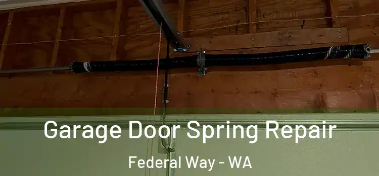  Garage Door Spring Repair Federal Way - WA