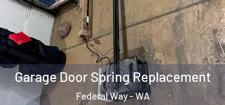  Garage Door Spring Replacement Federal Way - WA