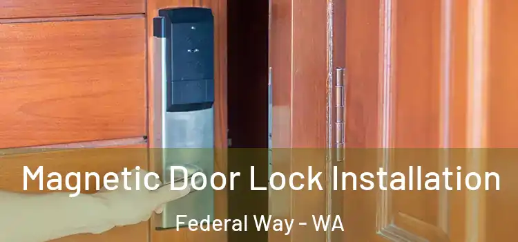  Magnetic Door Lock Installation Federal Way - WA