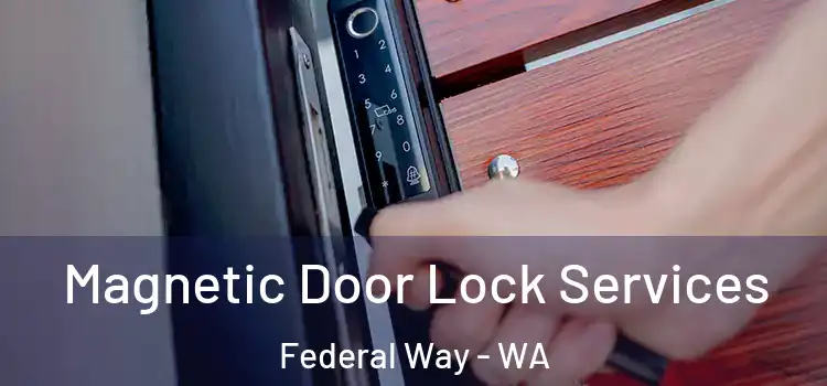 Magnetic Door Lock Services Federal Way - WA