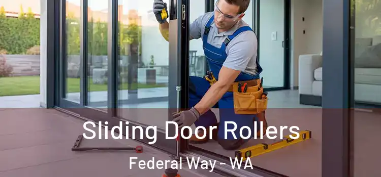  Sliding Door Rollers Federal Way - WA